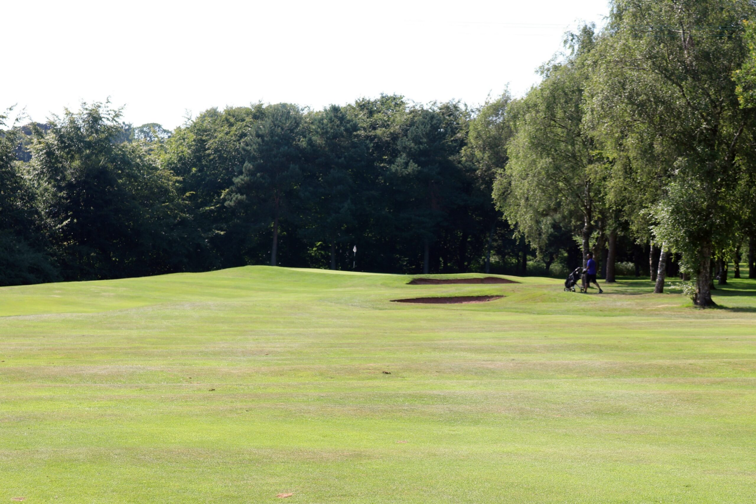 Third view of hole 11 at Trentham Park Golf Club