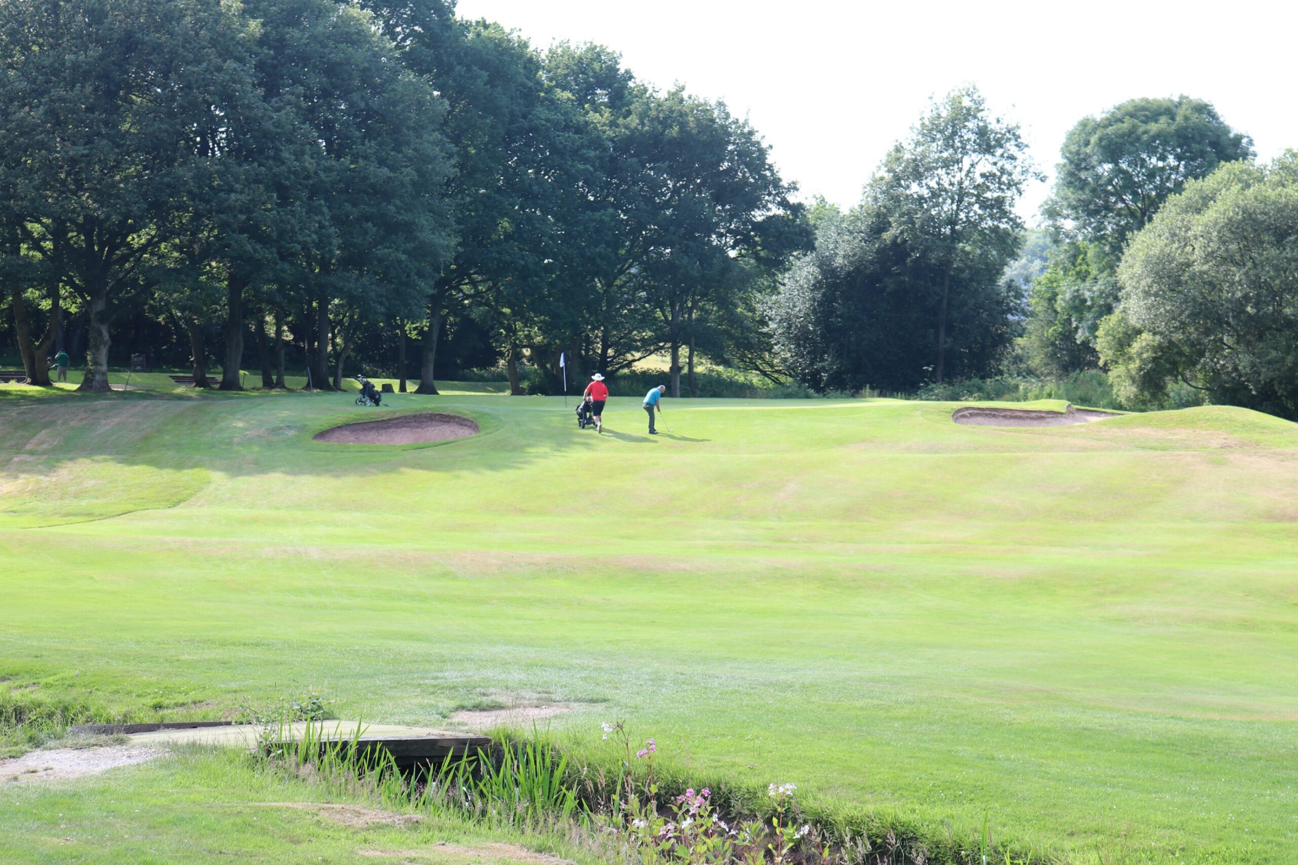 Third view of hole 14 at Trentham Park Golf Club