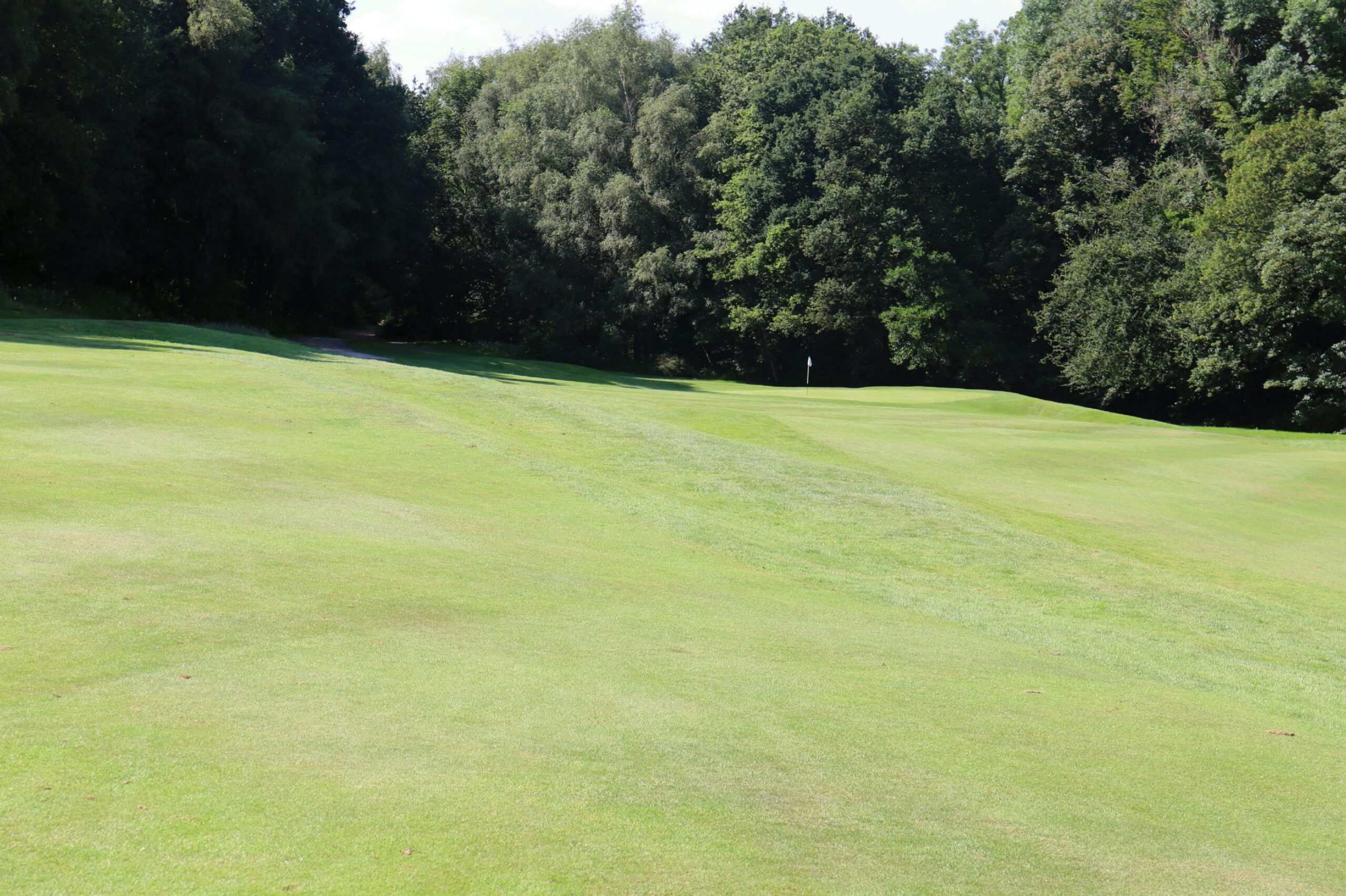 Third view of hole 2 at Trentham Park Golf Club