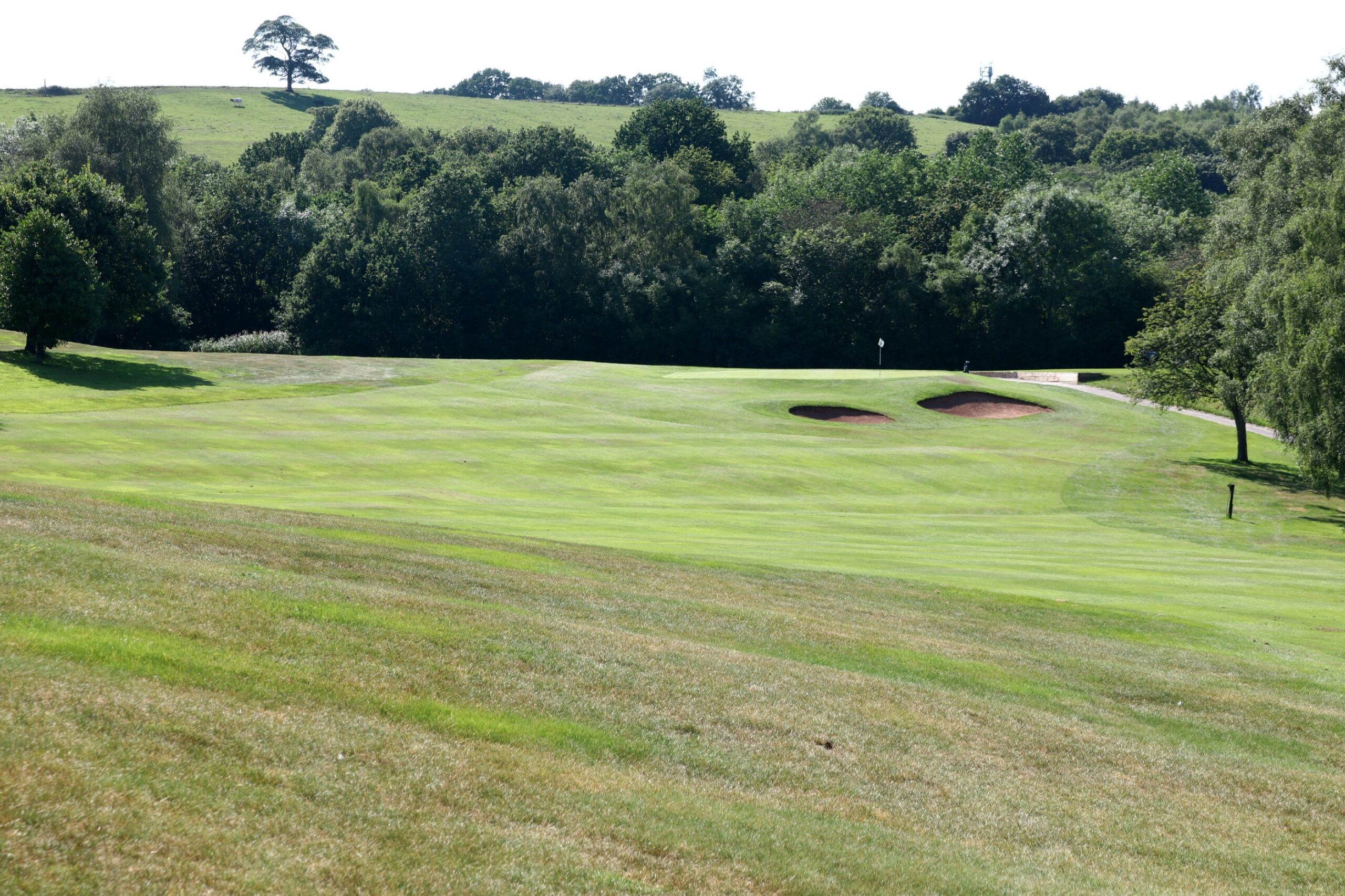 Hole 3 at Trentham Park Golf Club