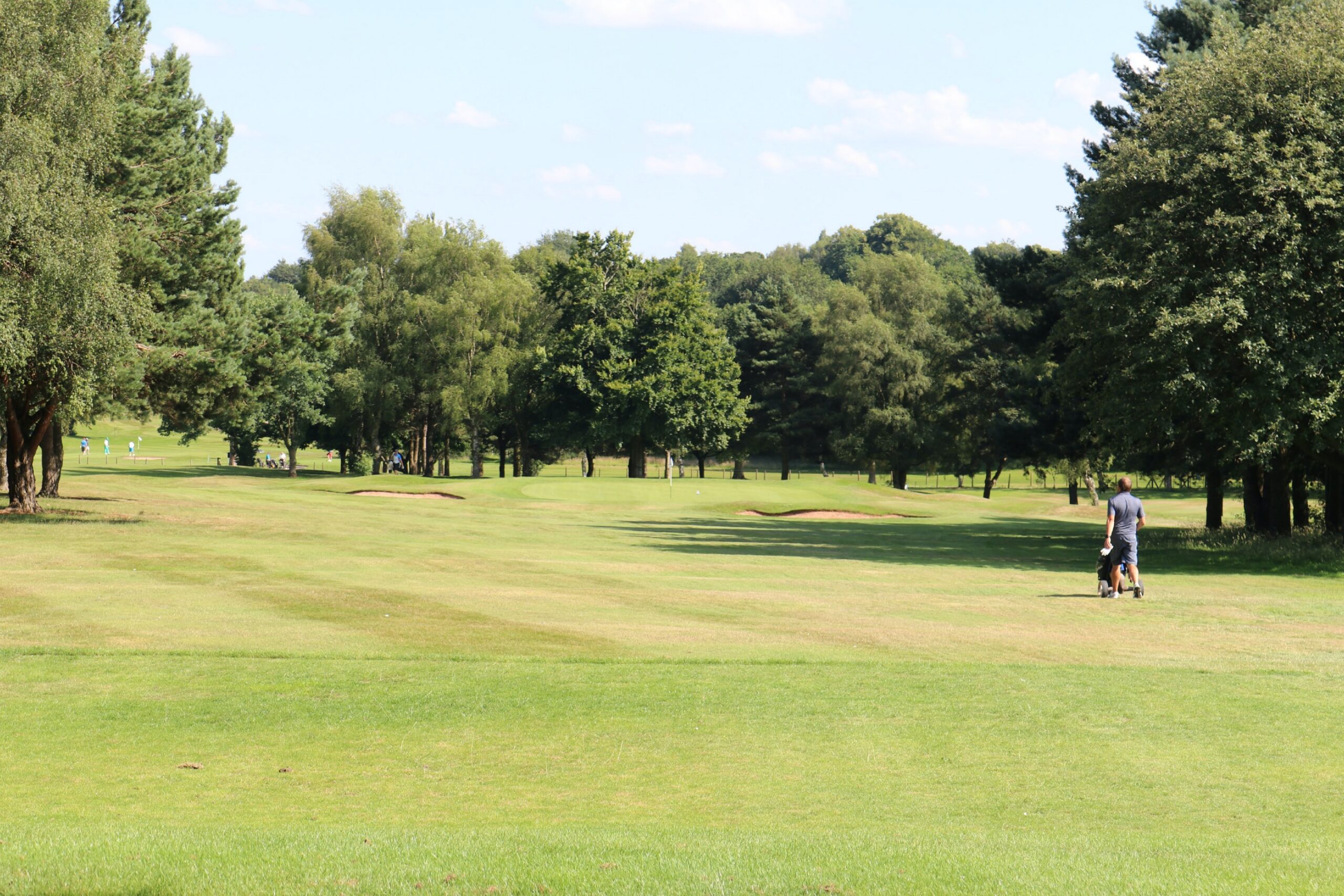 Second view of hole 7 at Trentham Park Golf Club
