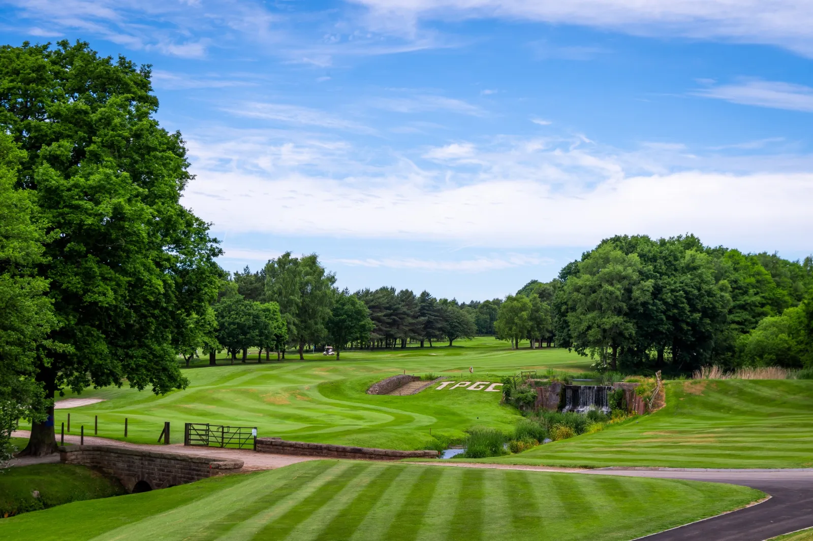 Summer League golf at Trentham Park Golf Club