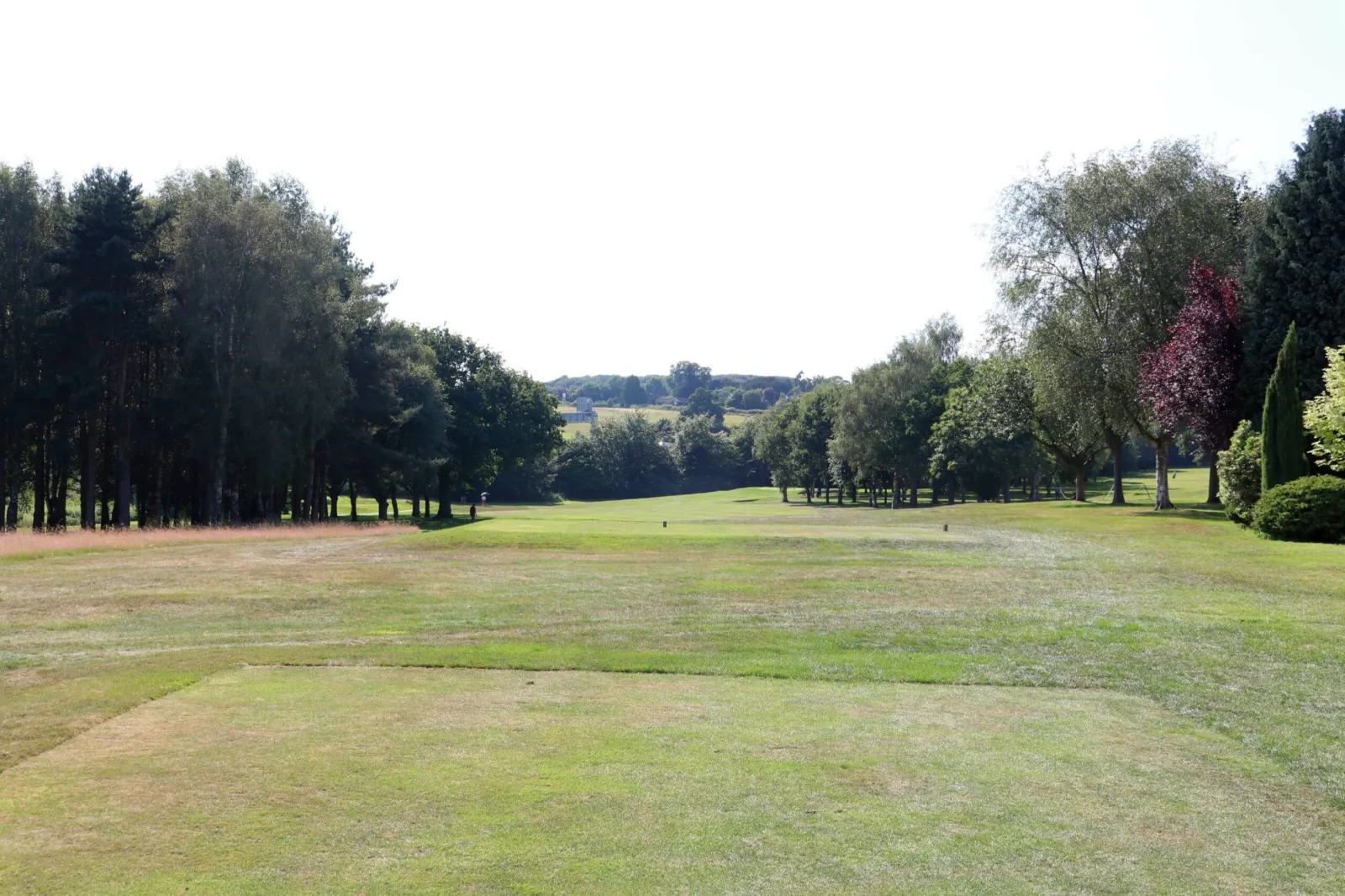 Hole 11 at Trentham Park Golf Club