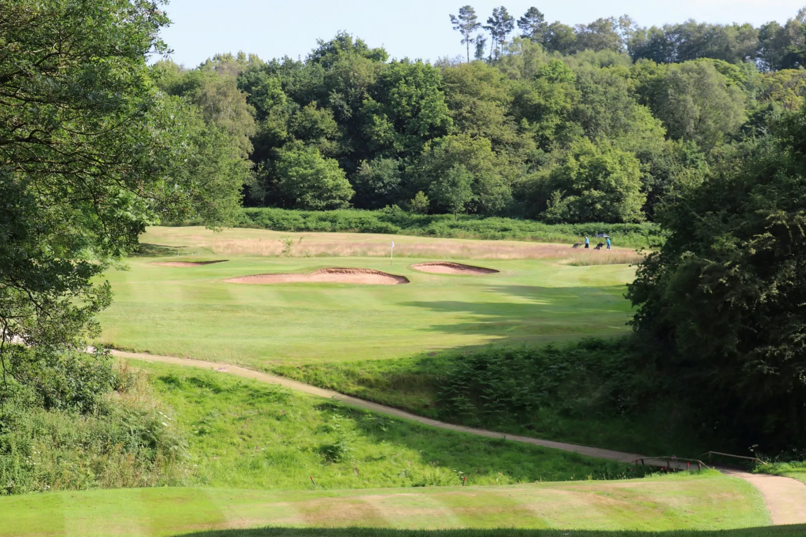 Third view of hole 15 at Trentham Park Golf Club