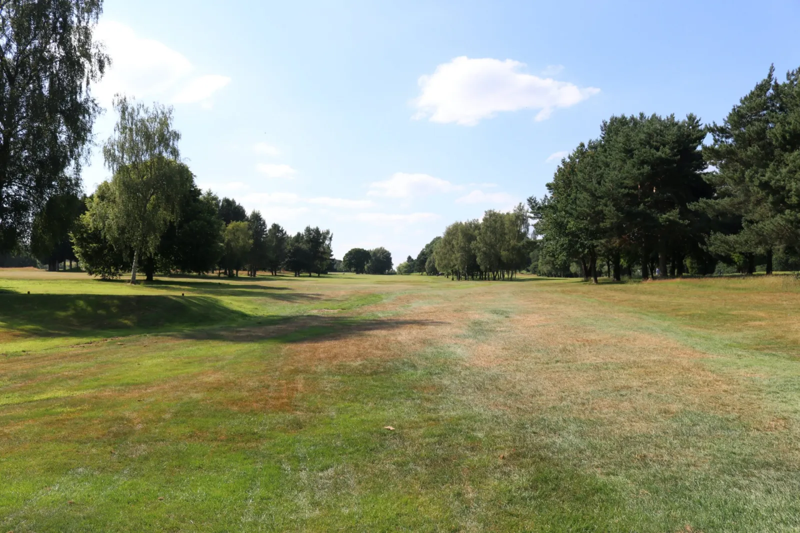 Hole 8 at Trentham Park Golf Club